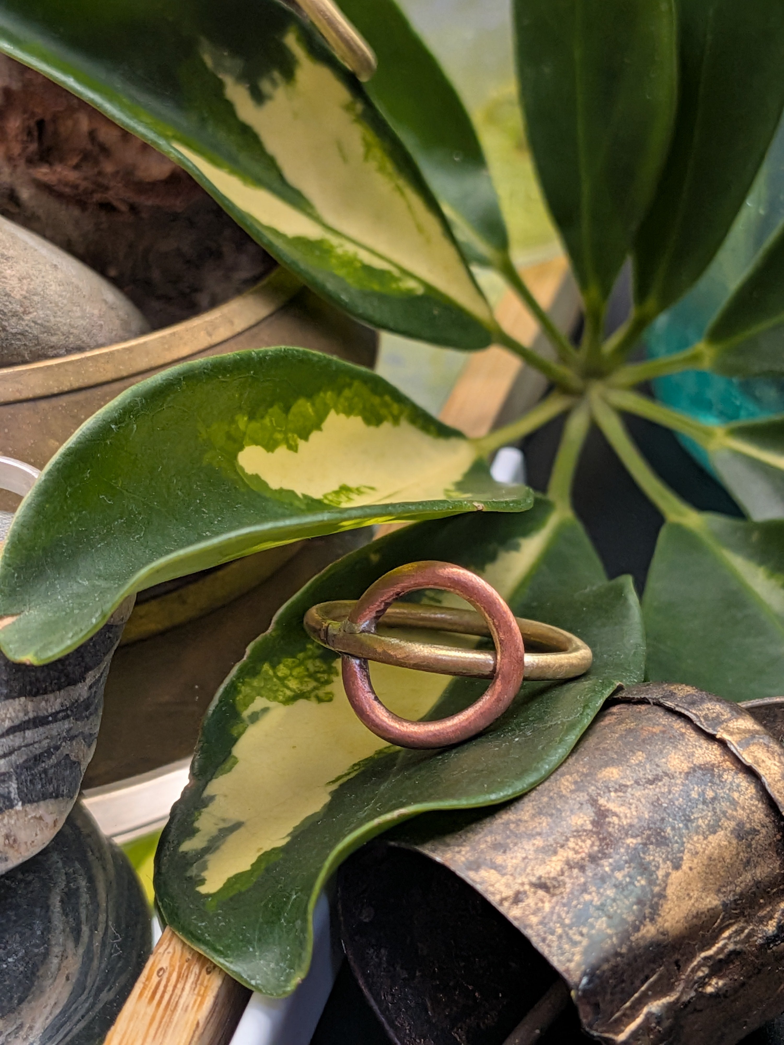 Interlock ring