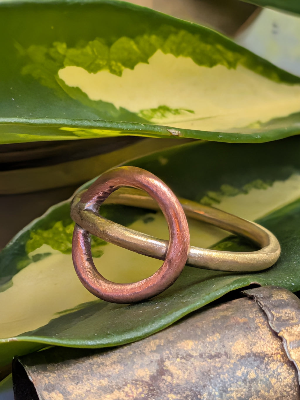 Interlock ring