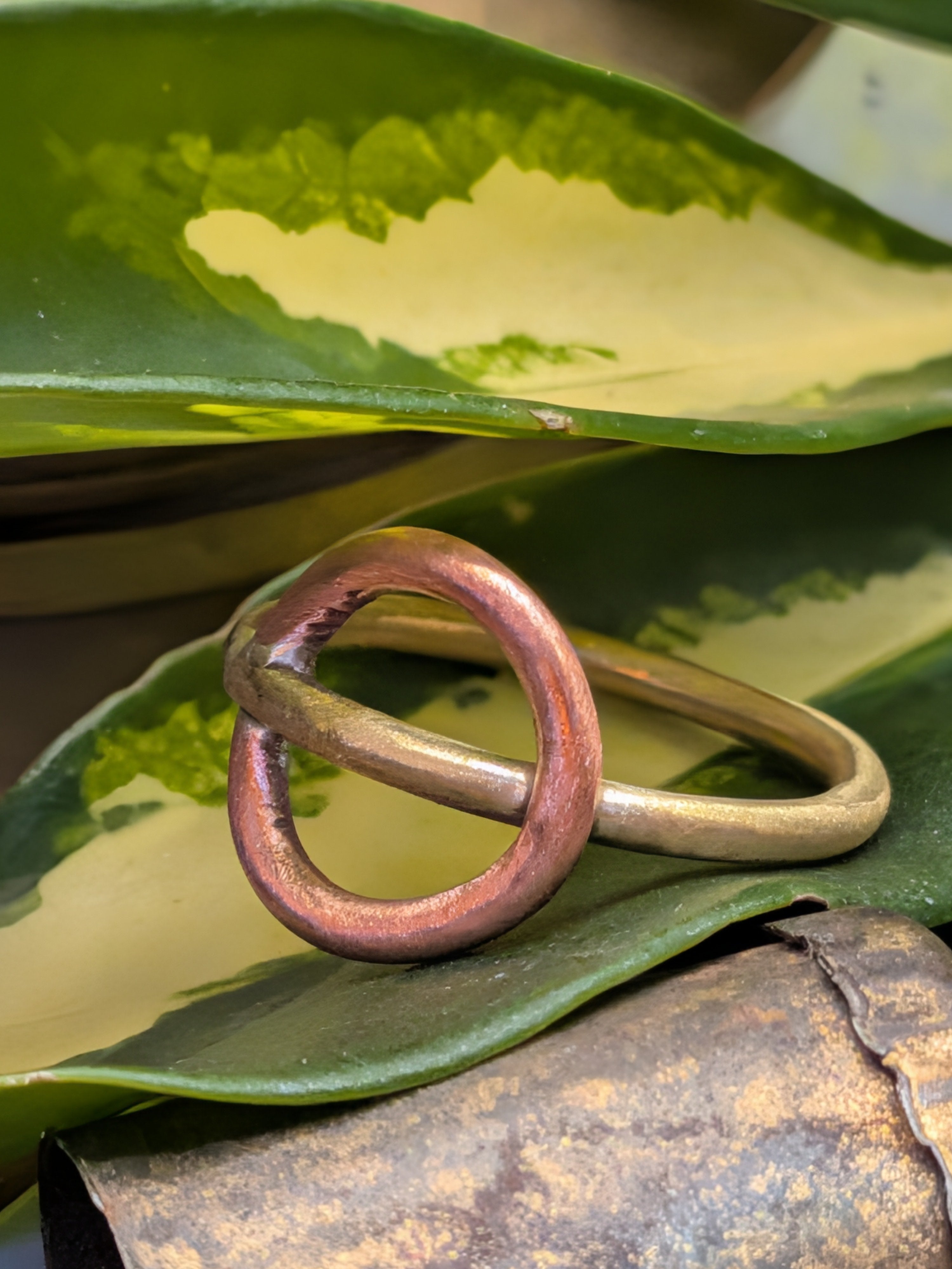 Interlock ring
